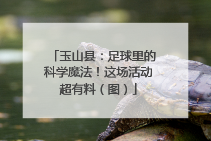 玉山县：足球里的科学魔法！这场活动超有料（图）