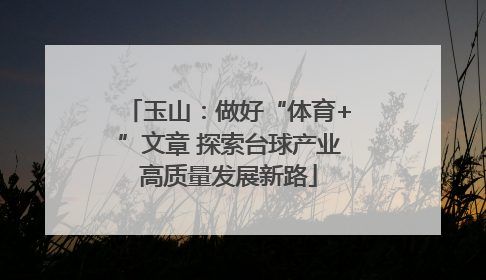玉山：做好“体育+”文章 探索台球产业高质量发展新路