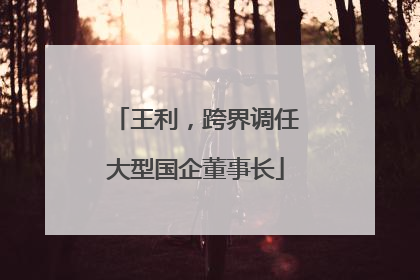 王利，跨界调任大型国企董事长