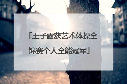 王子露获艺术体操全锦赛个人全能冠军