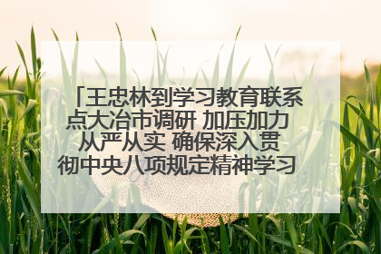 王忠林到学习教育联系点大冶市调研 加压加力 从严从实 确保深入贯彻中央八项规定精神学习教育取得实效