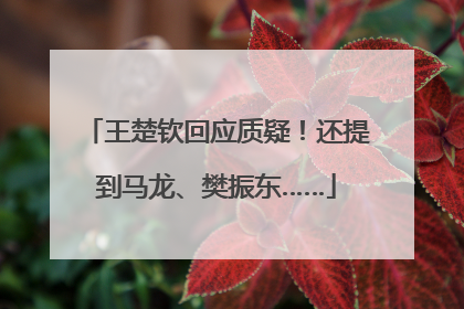 王楚钦回应质疑！还提到马龙、樊振东……