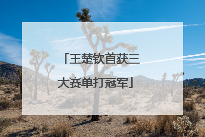 王楚钦首获三大赛单打冠军