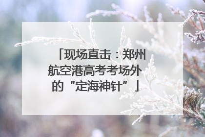 现场直击：郑州航空港高考考场外的“定海神针”