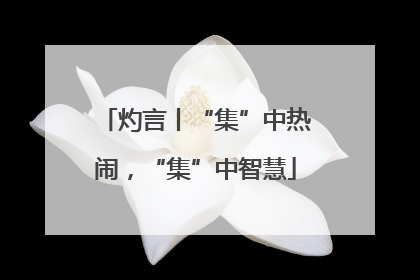 灼言丨“集”中热闹，“集”中智慧