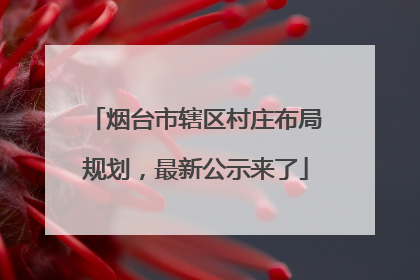 烟台市辖区村庄布局规划，最新公示来了