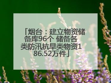 烟台：建立物资储备库96个 储备各类防汛抗旱类物资186.52万件