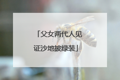 父女两代人见证沙地披绿装