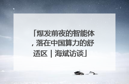 爆发前夜的智能体，落在中国算力的舒适区｜海斌访谈