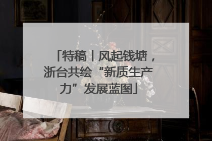 特稿丨风起钱塘，浙台共绘“新质生产力”发展蓝图