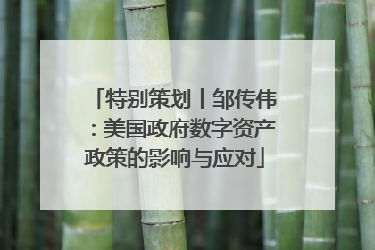 特别策划丨邹传伟：美国政府数字资产政策的影响与应对