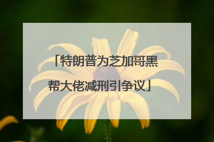 特朗普为芝加哥黑帮大佬减刑引争议