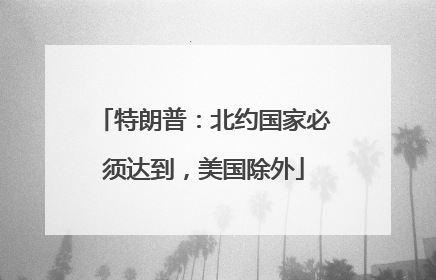 特朗普：北约国家必须达到，美国除外