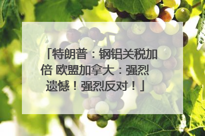 特朗普：钢铝关税加倍 欧盟加拿大：强烈遗憾！强烈反对！