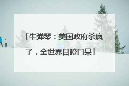 牛弹琴：美国政府杀疯了，全世界目瞪口呆