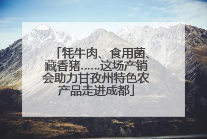 牦牛肉、食用菌、藏香猪……这场产销会助力甘孜州特色农产品走进成都