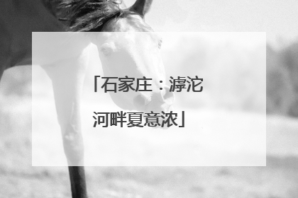 石家庄：滹沱河畔夏意浓