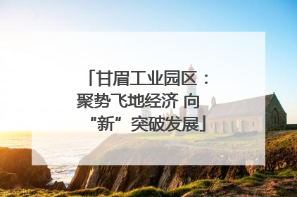 甘眉工业园区：聚势飞地经济 向“新”突破发展