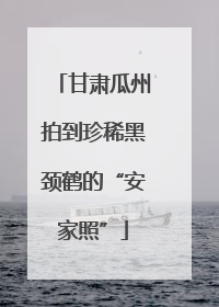 甘肃瓜州拍到珍稀黑颈鹤的“安家照”