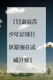 甘肃省青少年足球片区联赛在武威开赛