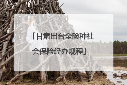 甘肃出台全险种社会保险经办规程