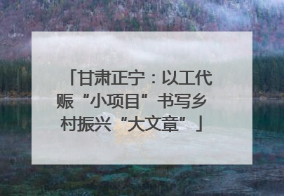 甘肃正宁：以工代赈“小项目”书写乡村振兴“大文章”