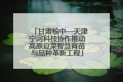 甘肃榆中—天津宁河科技协作推动高原夏菜智慧育苗与品种革新工程