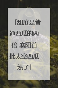 甜度是普通西瓜的两倍 襄阳首批太空西瓜熟了