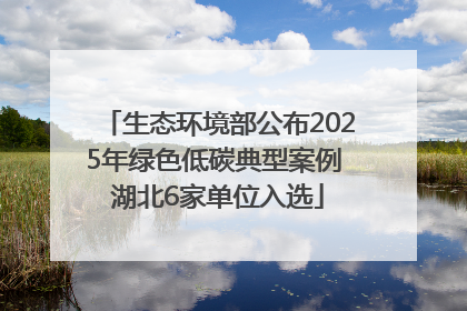 生态环境部公布2025年绿色低碳典型案例 湖北6家单位入选