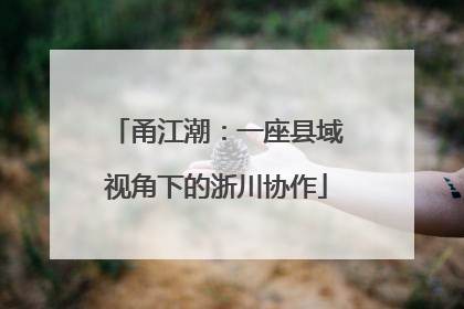 甬江潮：一座县域视角下的浙川协作