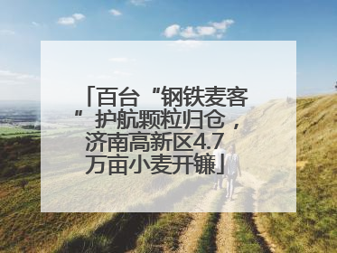 百台“钢铁麦客”护航颗粒归仓，济南高新区4.7万亩小麦开镰