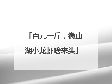 百元一斤，微山湖小龙虾啥来头