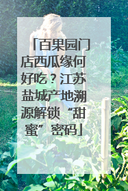 百果园门店西瓜缘何好吃？江苏盐城产地溯源解锁“甜蜜”密码