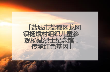 盐城市盐都区龙冈镇杨斌村组织儿童参观杨斌烈士纪念馆，传承红色基因