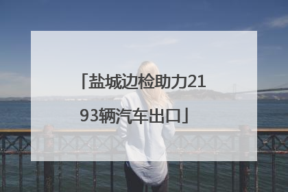 盐城边检助力2193辆汽车出口