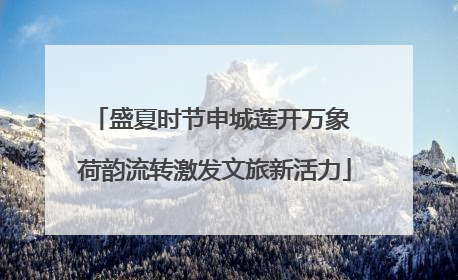 盛夏时节申城莲开万象 荷韵流转激发文旅新活力