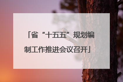 省“十五五”规划编制工作推进会议召开