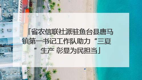 省农信联社派驻鱼台县唐马镇第一书记工作队助力“三夏”生产 彰显为民担当