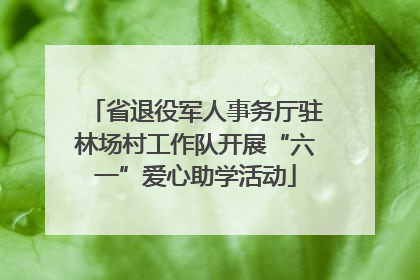 省退役军人事务厅驻林场村工作队开展“六一”爱心助学活动
