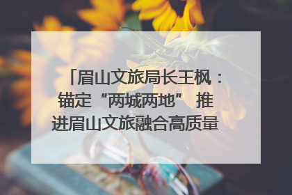 眉山文旅局长王枫：锚定“两城两地” 推进眉山文旅融合高质量发展｜文旅局长说