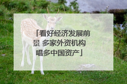 看好经济发展前景 多家外资机构唱多中国资产