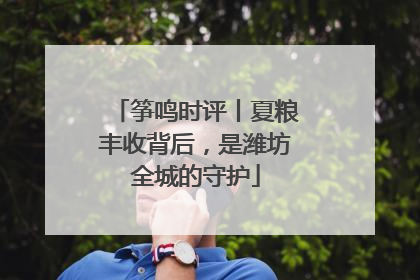 筝鸣时评丨夏粮丰收背后，是潍坊全城的守护
