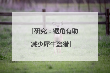 研究：锯角有助减少犀牛盗猎