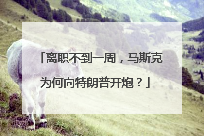 离职不到一周，马斯克为何向特朗普开炮？