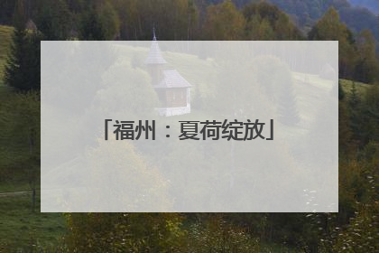 福州：夏荷绽放