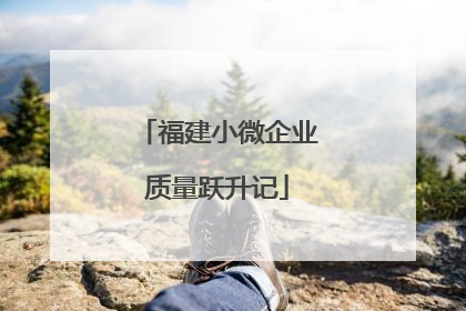 福建小微企业质量跃升记