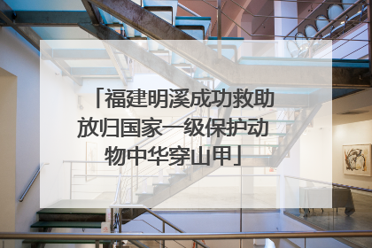 福建明溪成功救助放归国家一级保护动物中华穿山甲