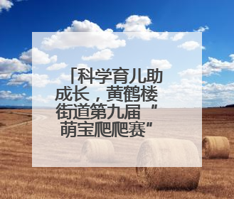 科学育儿助成长，黄鹤楼街道第九届“萌宝爬爬赛”圆满举行