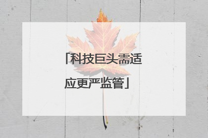 科技巨头需适应更严监管