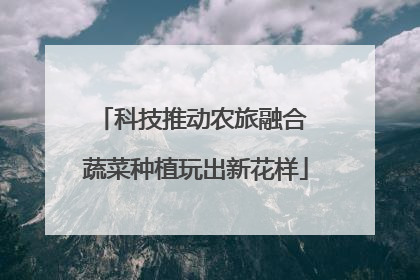 科技推动农旅融合 蔬菜种植玩出新花样